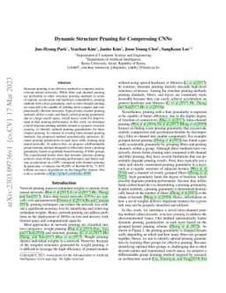 Dynamic Structure Pruning for Compressing CNNs