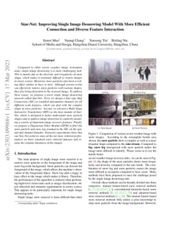 Star-Net: Improving Single Image Desnowing Model With More Efficient
  Connection and Diverse Feature Interaction