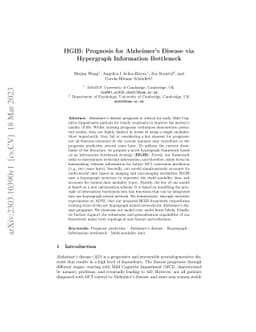 HGIB: Prognosis for Alzheimer's Disease via Hypergraph Information
  Bottleneck