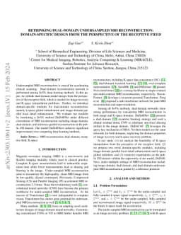Rethinking Dual-Domain Undersampled MRI reconstruction: domain-specific
  design from the perspective of the receptive field
