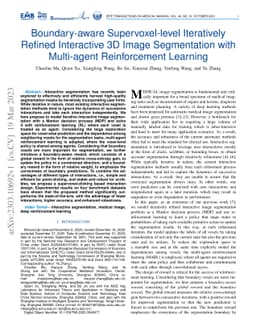 Boundary-aware Supervoxel-level Iteratively Refined Interactive 3D Image
  Segmentation with Multi-agent Reinforcement Learning