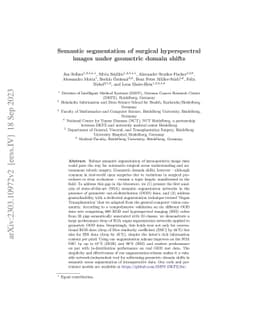 Semantic segmentation of surgical hyperspectral images under geometric
  domain shifts
