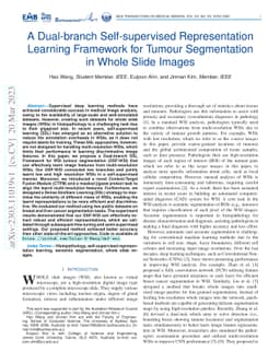 A Dual-branch Self-supervised Representation Learning Framework for
  Tumour Segmentation in Whole Slide Images