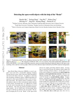 Detecting the open-world objects with the help of the Brain