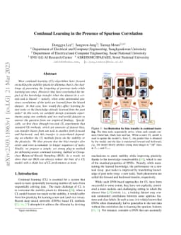 Continual Learning in the Presence of Spurious Correlation