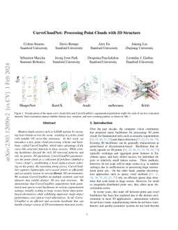 CurveCloudNet: Processing Point Clouds with 1D Structure