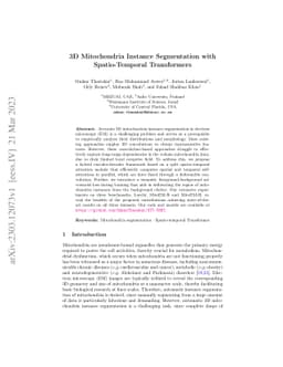 3D Mitochondria Instance Segmentation with Spatio-Temporal Transformers