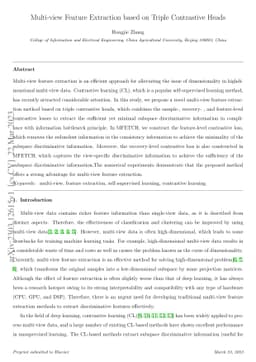 Multi-view Feature Extraction based on Triple Contrastive Heads