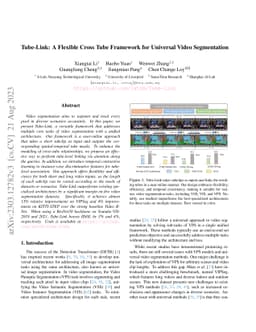 Tube-Link: A Flexible Cross Tube Framework for Universal Video
  Segmentation