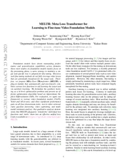 MELTR: Meta Loss Transformer for Learning to Fine-tune Video Foundation
  Models