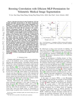 Boosting Convolution with Efficient MLP-Permutation for Volumetric
  Medical Image Segmentation