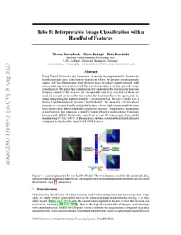 Take 5: Interpretable Image Classification with a Handful of Features