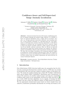Confidence-Aware and Self-Supervised Image Anomaly Localisation