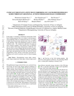 Clinically Relevant Latent Space Embedding of Cancer Histopathology
  Slides through Variational Autoencoder Based Image Compression