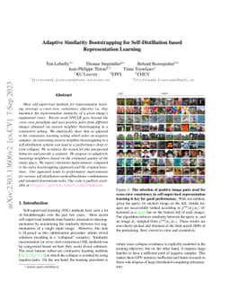 Adaptive Similarity Bootstrapping for Self-Distillation based
  Representation Learning