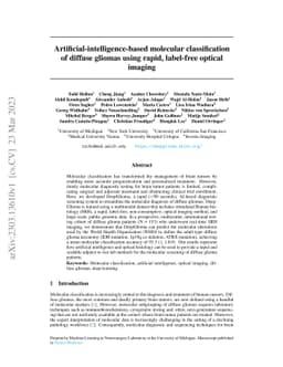 Artificial-intelligence-based molecular classification of diffuse
  gliomas using rapid, label-free optical imaging