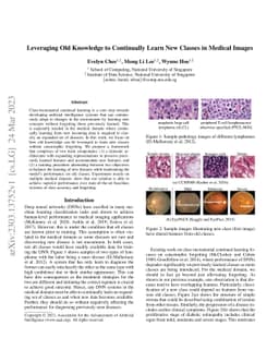 Leveraging Old Knowledge to Continually Learn New Classes in Medical
  Images