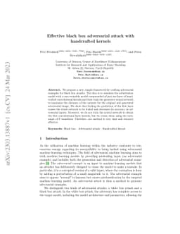 Effective black box adversarial attack with handcrafted kernels