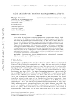 Euler Characteristic Tools For Topological Data Analysis