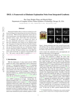 IDGI: A Framework to Eliminate Explanation Noise from Integrated
  Gradients
