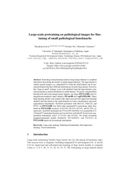 Large-scale pretraining on pathological images for fine-tuning of small
  pathological benchmarks