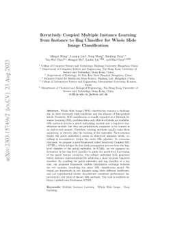 Iteratively Coupled Multiple Instance Learning from Instance to Bag
  Classifier for Whole Slide Image Classification
