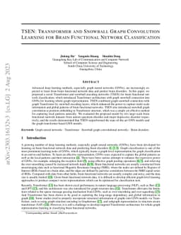 Transformer and Snowball Graph Convolution Learning for Brain functional
  network Classification