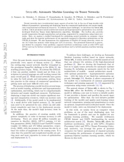 Tetra-AML: Automatic Machine Learning via Tensor Networks