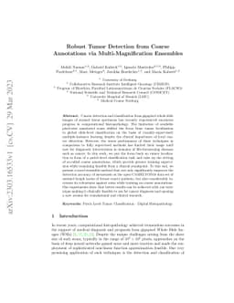 Robust Tumor Detection from Coarse Annotations via Multi-Magnification
  Ensembles