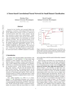 A Tensor-based Convolutional Neural Network for Small Dataset
  Classification