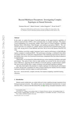 Beyond Multilayer Perceptrons: Investigating Complex Topologies in
  Neural Networks