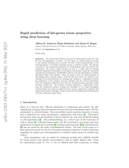 Rapid prediction of lab-grown tissue properties using deep learning