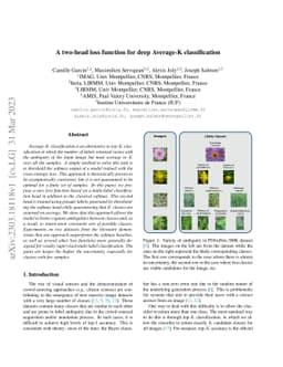 A two-head loss function for deep Average-K classification