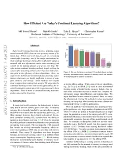 How Efficient Are Today's Continual Learning Algorithms?