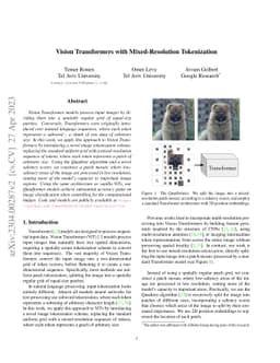 Vision Transformers with Mixed-Resolution Tokenization