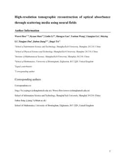 High-resolution tomographic reconstruction of optical absorbance through
  scattering media using neural fields