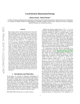 Local Intrinsic Dimensional Entropy