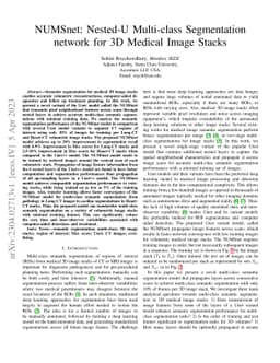 NUMSnet: Nested-U Multi-class Segmentation network for 3D Medical Image
  Stacks
