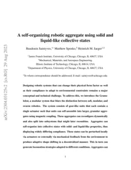 A self-organizing robotic aggregate using solid and liquid-like
  collective states