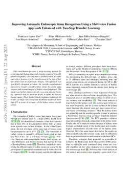 Improving automatic endoscopic stone recognition using a multi-view
  fusion approach enhanced with two-step transfer learning