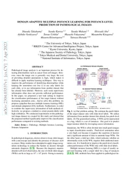 Domain Adaptive Multiple Instance Learning for Instance-level Prediction
  of Pathological Images