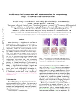 Weakly supervised segmentation with point annotations for histopathology
  images via contrast-based variational model