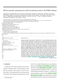 Efficient automatic segmentation for multi-level pulmonary arteries: The
  PARSE challenge