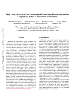 Deep Prototypical-Parts Ease Morphological Kidney Stone Identification
  and are Competitively Robust to Photometric Perturbations