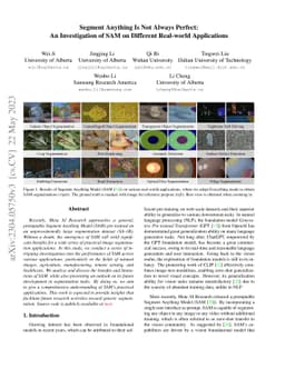 Segment Anything Is Not Always Perfect: An Investigation of SAM on
  Different Real-world Applications