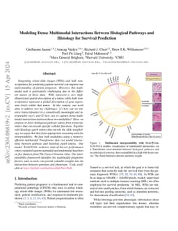 Modeling Dense Multimodal Interactions Between Biological Pathways and
  Histology for Survival Prediction
