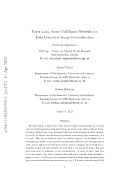 Uncertainty-Aware Null Space Networks for Data-Consistent Image
  Reconstruction