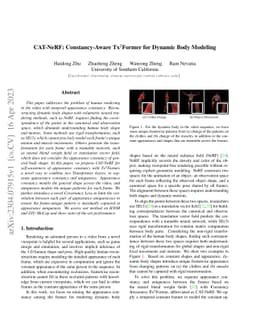 CAT-NeRF: Constancy-Aware Tx$^2$Former for Dynamic Body Modeling