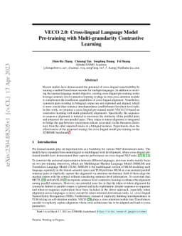 VECO 2.0: Cross-lingual Language Model Pre-training with
  Multi-granularity Contrastive Learning