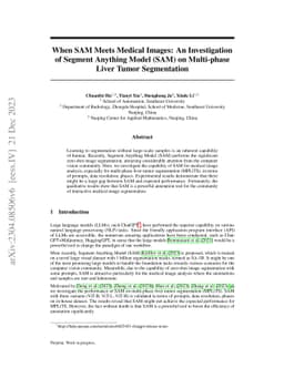 When SAM Meets Medical Images: An Investigation of Segment Anything
  Model (SAM) on Multi-phase Liver Tumor Segmentation